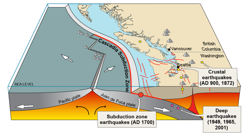 Illustration for article titled A Pair of Tremors Highlight the Different Types of West Coast Earthquakes